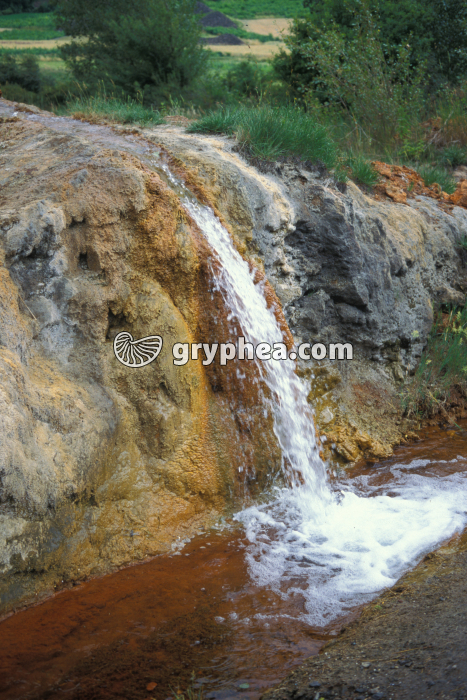 Source pétrifiante - gryphea.com